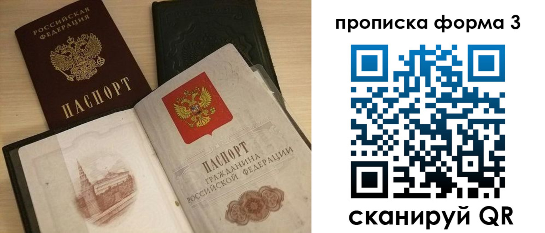 прописка для школы в Александровске